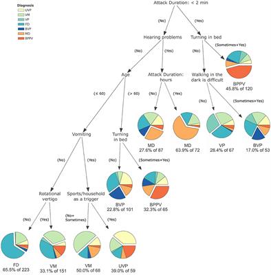 A Set of Eight Key Questions Helps to Classify Common Vestibular Disorders—Results From the DizzyReg Patient Registry